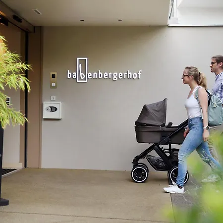 Babenbergerhof Hotel 2*