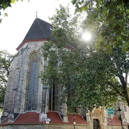 Babenbergerhof ホテル 2*